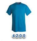 Hanes 4200 'T Shirts
