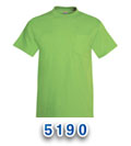 Hanes 5190 T Shirts
